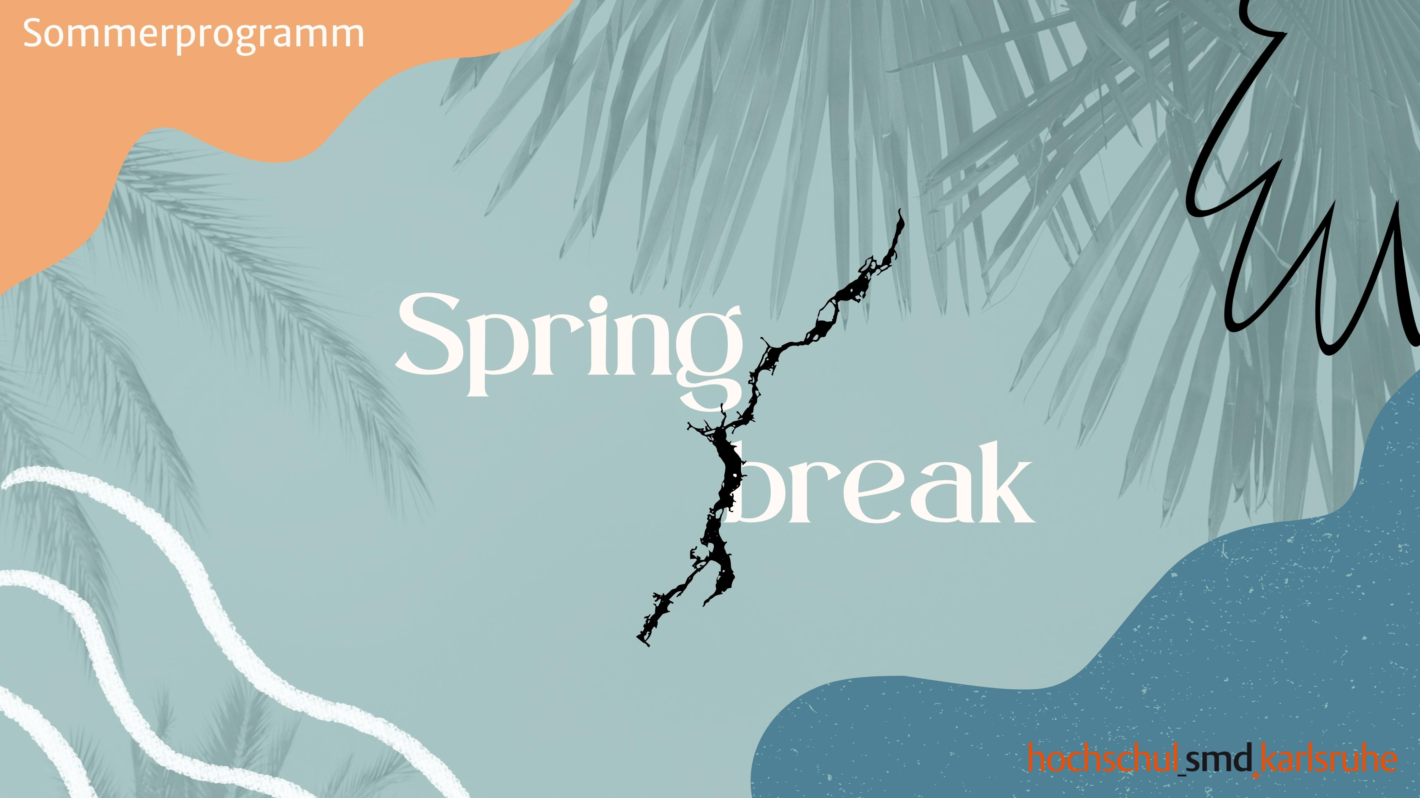 Volleyball / Spikeball im Schlossgarten